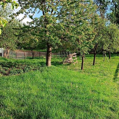 Casa De Vacanta Alina Prundul Birgaului 외부 사진