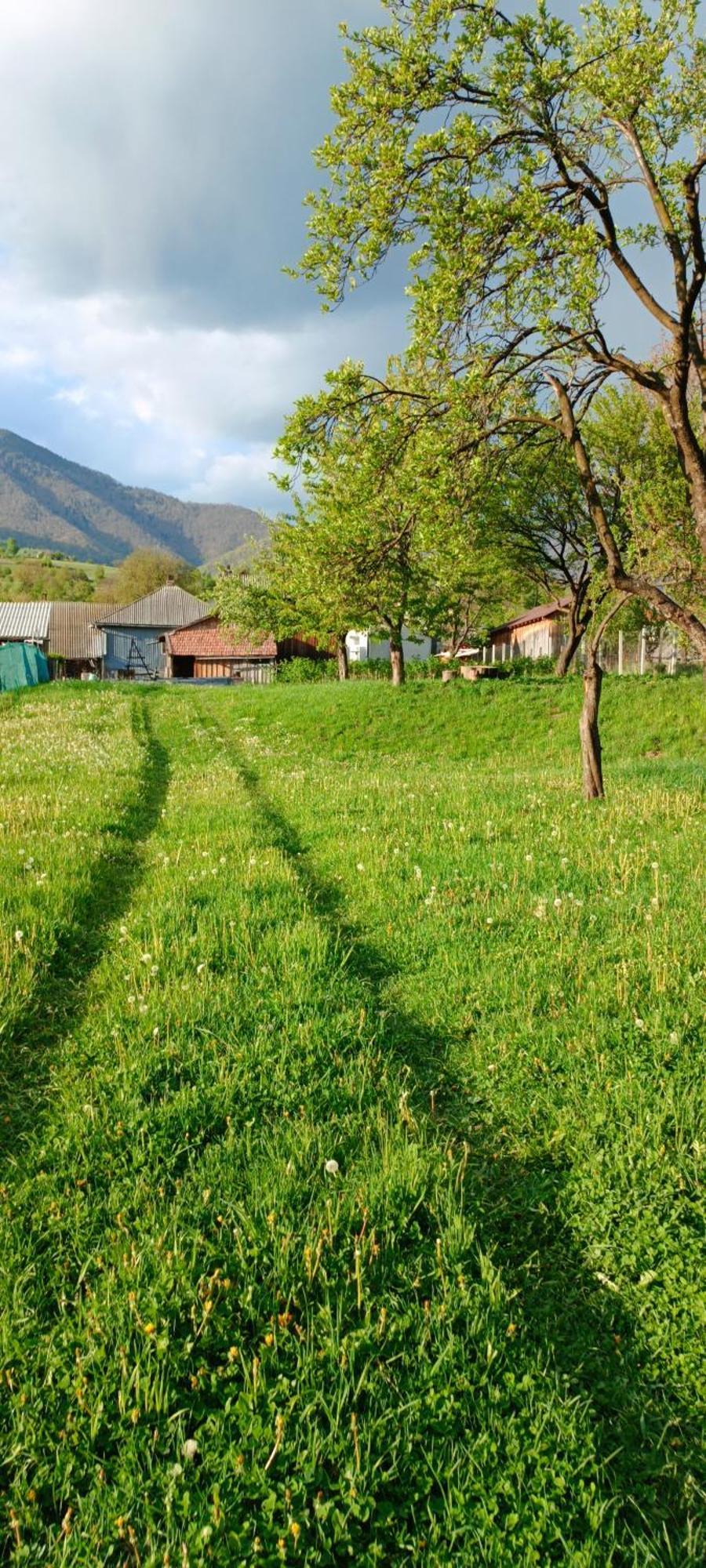 Casa De Vacanta Alina Prundul Birgaului 외부 사진