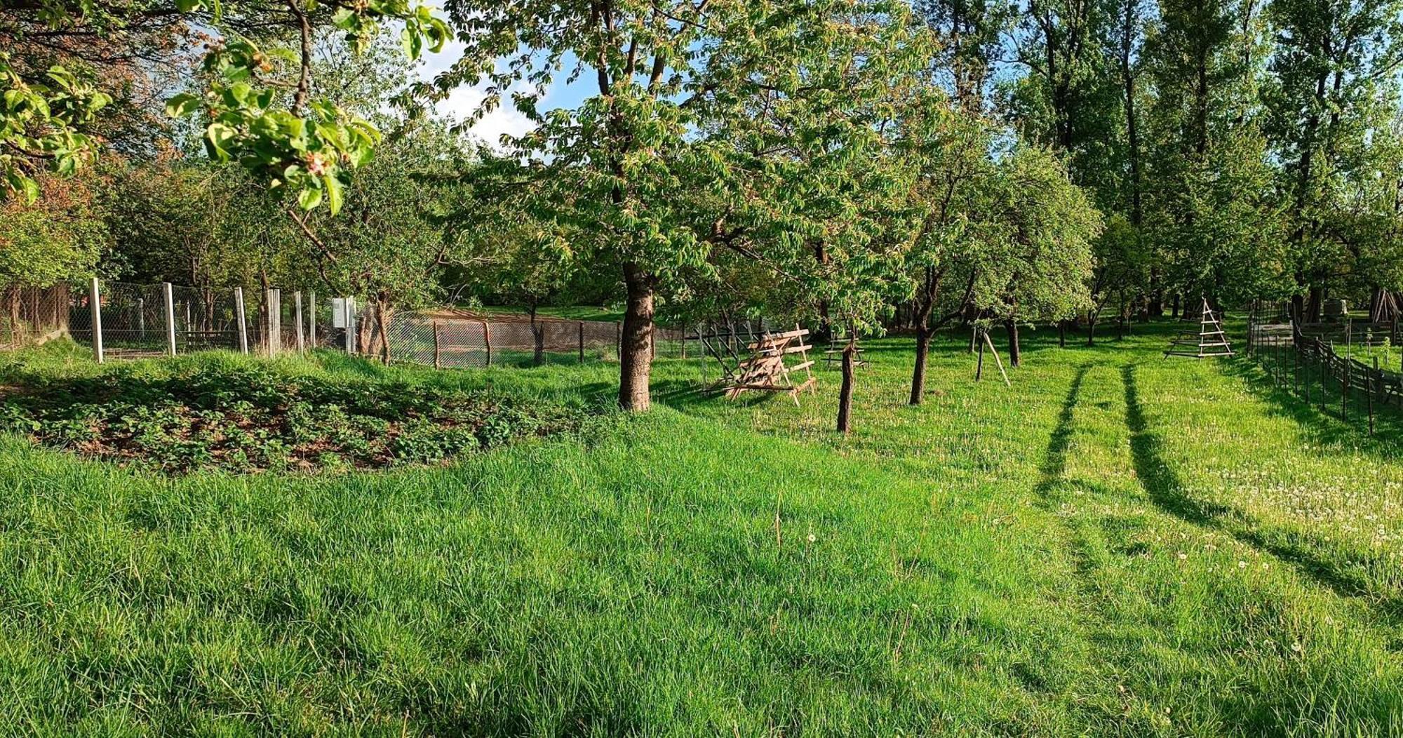 Casa De Vacanta Alina Prundul Birgaului 외부 사진