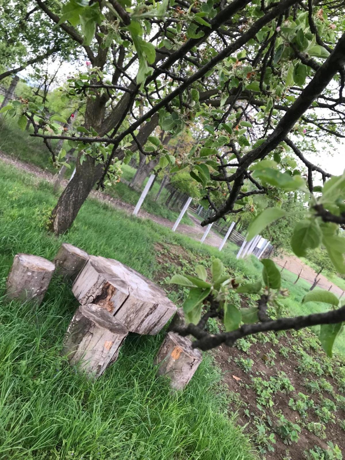 Casa De Vacanta Alina Prundul Birgaului 외부 사진